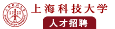 大鸡巴插入骚屄ng视频