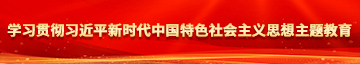 操美女大骚屄视频学习贯彻习近平新时代中国特色社会主义思想主题教育