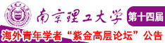 加勒比鸡巴骚逼南京理工大学第十四届海外青年学者紫金论坛诚邀海内外英才！